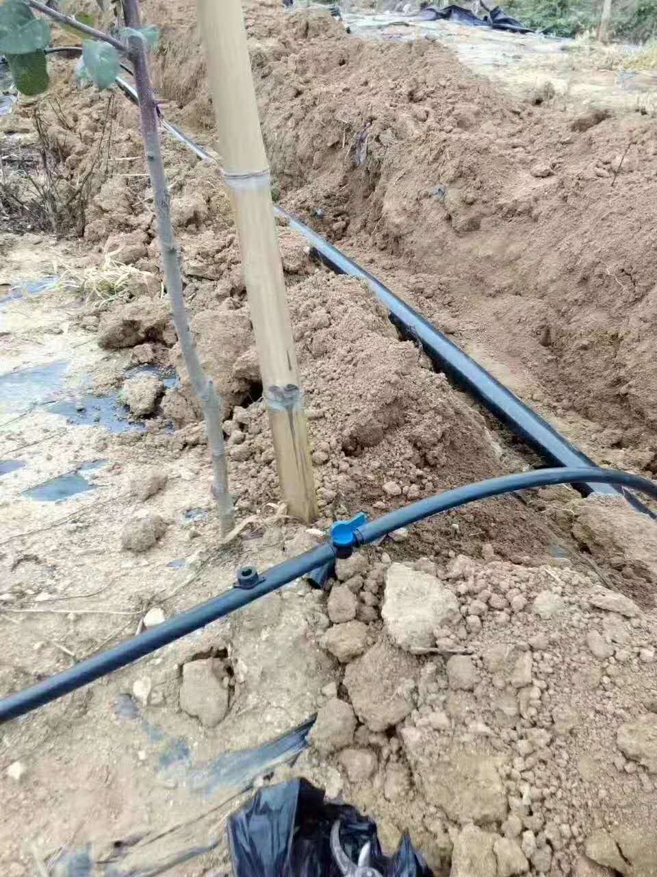 河南滴灌技术要点要掌握