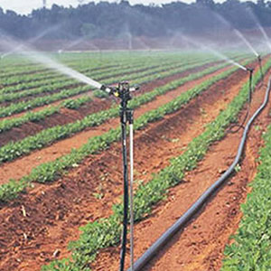 河南大田滴灌设备厂家介绍农田灌溉方法